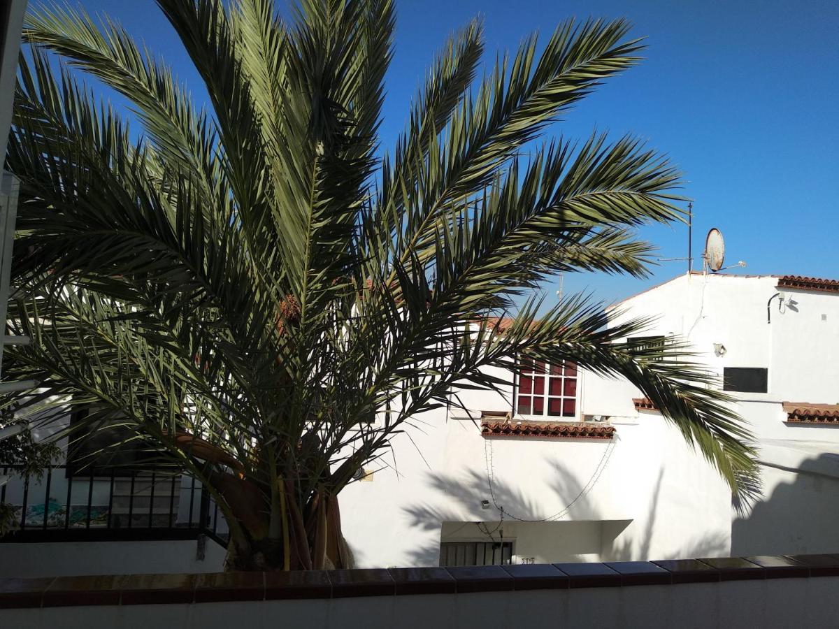 Apartamento Ama Tenerife Grande Terraza Arona  Exterior foto